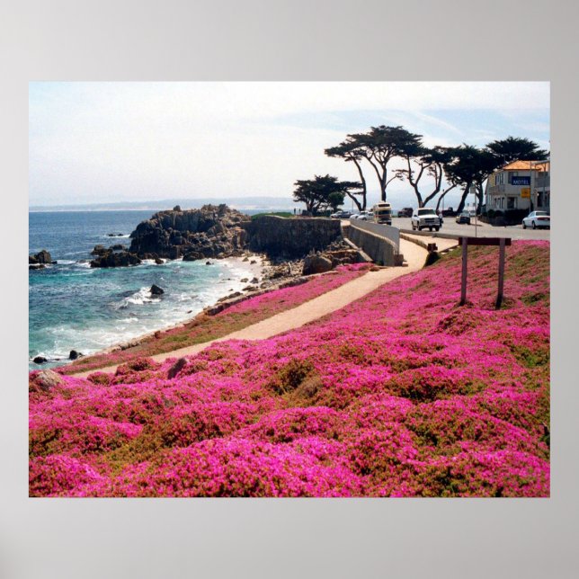 Pacific Grove-Monterey Calif Poster (Front)