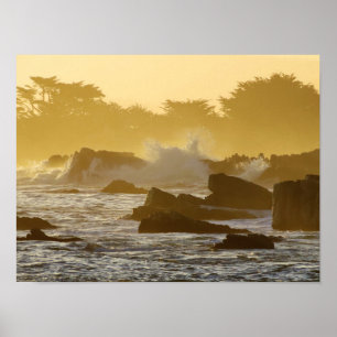 Pacific Grove Morning Poster