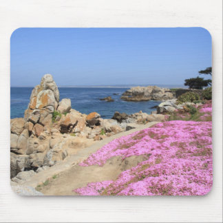 Pacific Grove Mouse Pad