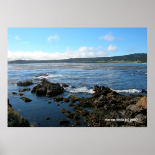 Pacific Grove on the Rocks Poster