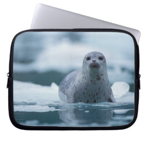 pacific harbour seal, Phoca vitulina richardsi Laptop Sleeve