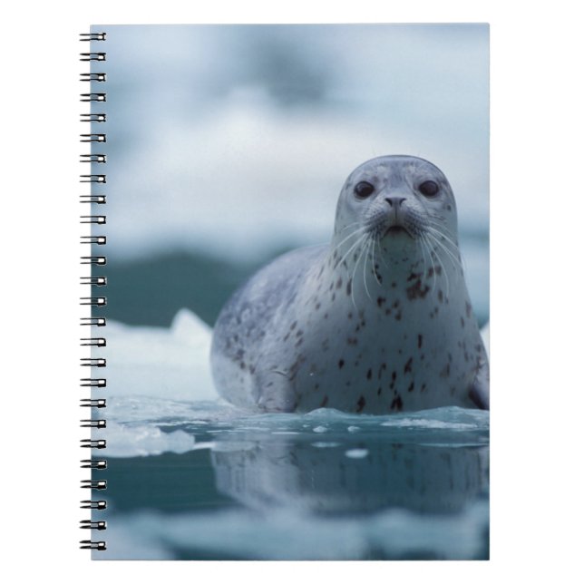 pacific harbour seal, Phoca vitulina richardsi Spiral Notebook (Front)