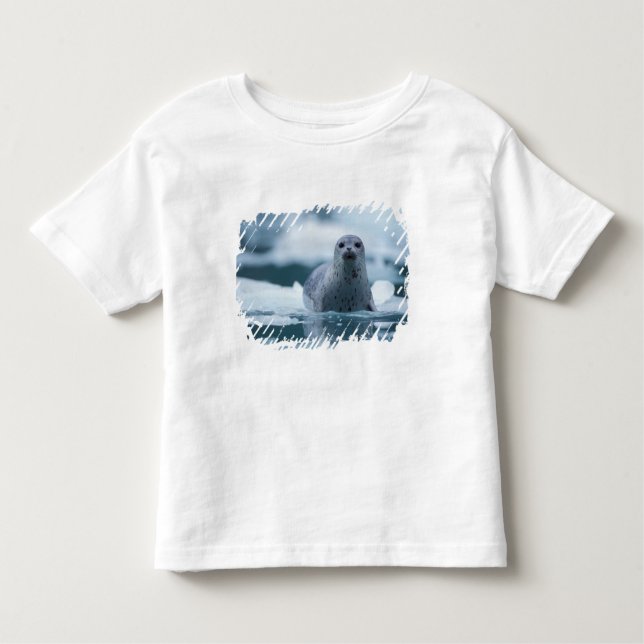 pacific harbour seal, Phoca vitulina richardsi Toddler T-Shirt (Front)