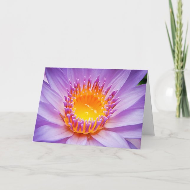 Pacific island waterlily card (Front)