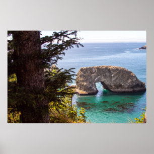 Pacific North West Ocean View Poster