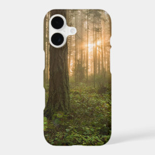 Pacific Northwest Forest Foggy Morning