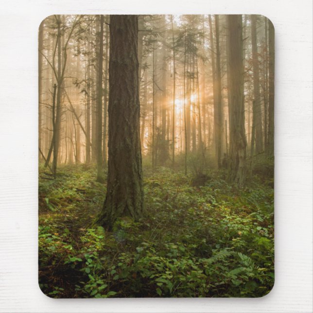 Pacific Northwest Forest | Foggy Morning Mouse Pad (Front)