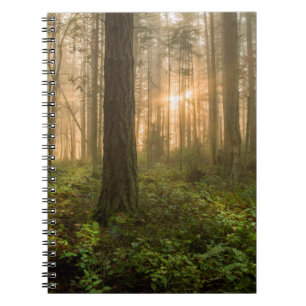 Pacific Northwest Forest   Foggy Morning Notebook