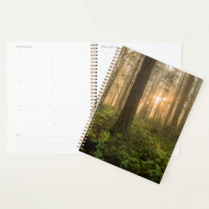 Pacific Northwest Forest Foggy Morning Planner