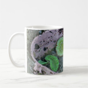 Pacific Northwest Tidepool with Green Anenomes Coffee Mug