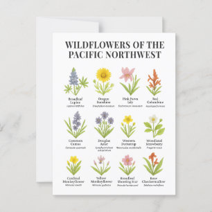 Pacific Northwest Wildflowers – Watercolor Style Postcard