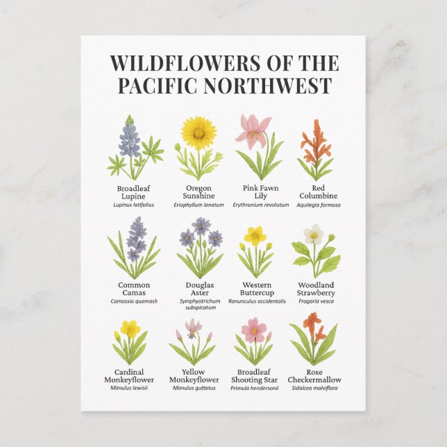 Pacific Northwest Wildflowers – Watercolor Style Postcard (Front)