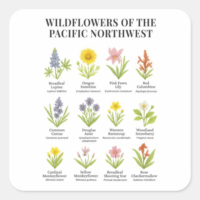 Pacific Northwest Wildflowers – Watercolor Style Square Sticker (Front)