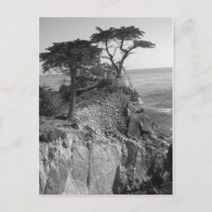 Pacific Ocean Postcard