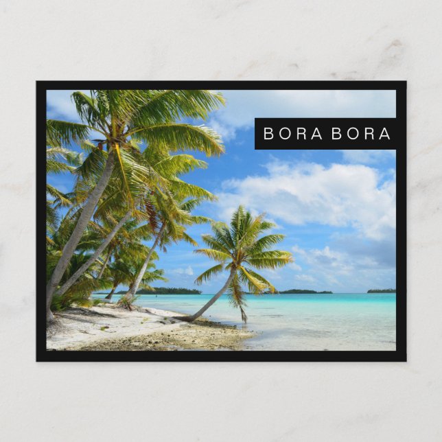 Pacific palm beach black border postcard (Front)