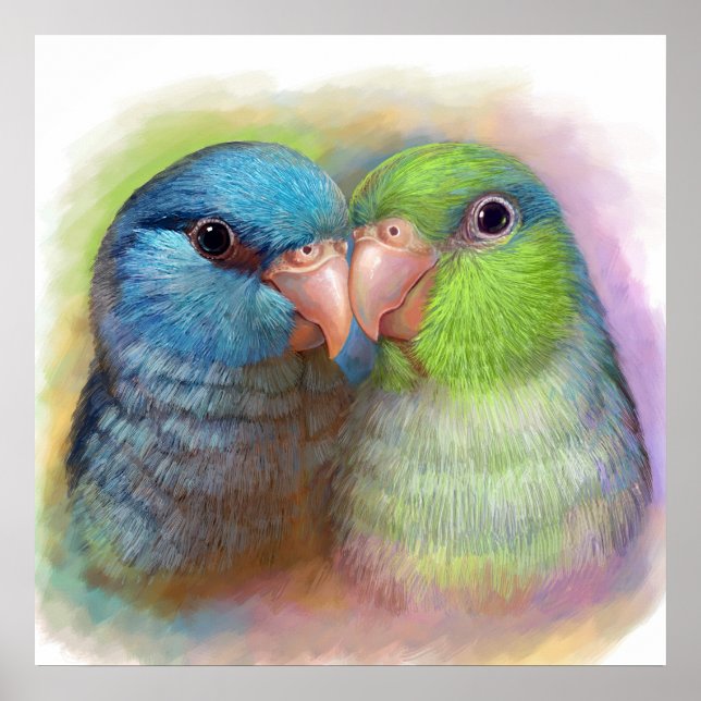 Pacific parrotlet parrot realistic painting poster (Front)