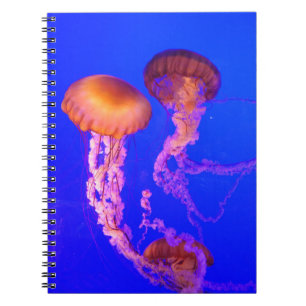 Pacific Sea Nettle Jellyfish Spiral Notebook