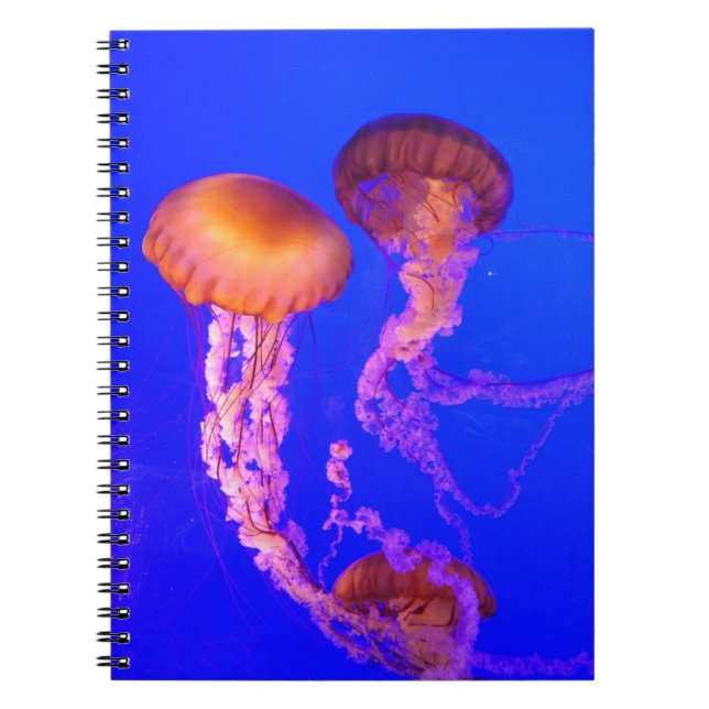 Pacific Sea Nettle Jellyfish Spiral Notebook (Front)