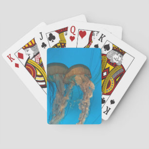Pacific Sea Nettles Classic Playing Cards