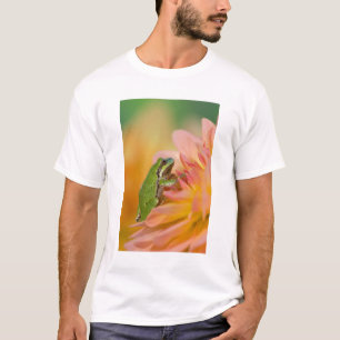Pacific tree frog on flowers in our garden, 2 T-Shirt