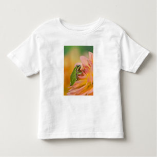 Pacific tree frog on flowers in our garden, 2 toddler T-Shirt