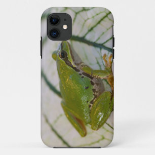 Pacific tree frog on flowers in our garden, Case-Mate iPhone case