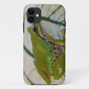Pacific tree frog on flowers in our garden, Case-Mate iPhone case
