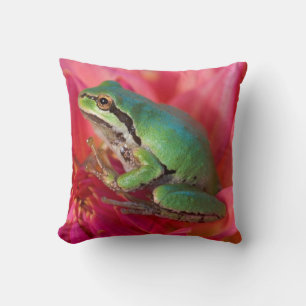 Pacific tree frog on flowers in our garden cushion