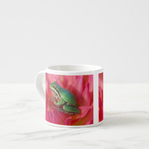 Pacific tree frog on flowers in our garden espresso cup
