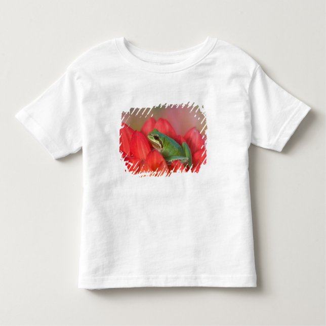 Pacific tree frog on flowers in the garden toddler T-Shirt (Front)