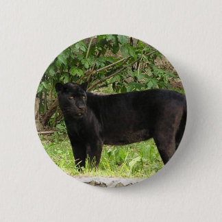 Pacing Panther Pin