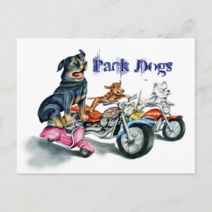 Pack Dogs Postcard