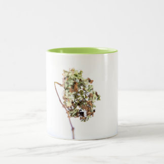 pack Hortensia Two-Tone Coffee Mug