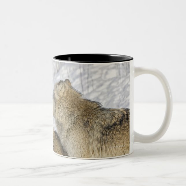 Pack of wolves interacting Two-Tone coffee mug (Right)