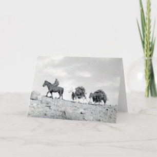 Packing out Christmas Trees Holiday Card