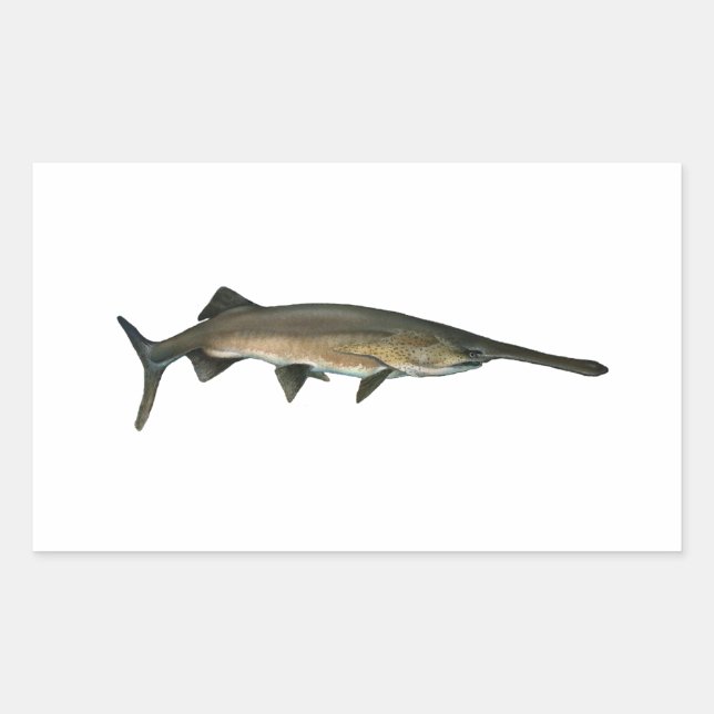 Paddlefish Rectangular Sticker (Front)
