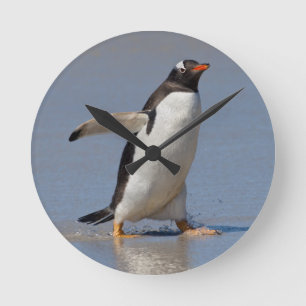 Paddling Gentoo Clock