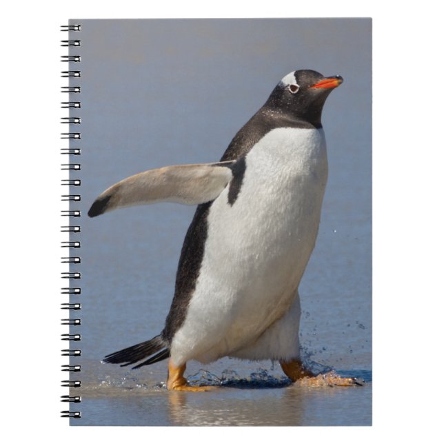 Paddling Gentoo Notebook (Front)