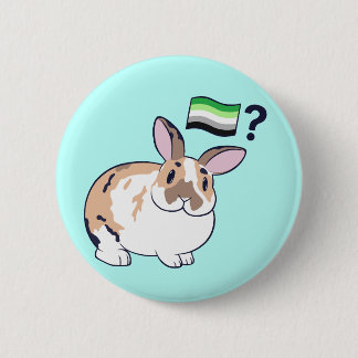 Paddy Pride Badge (Aromantic)