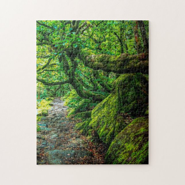 Padley Gorge, Debryshire Jigsaw Puzzle (Vertical)