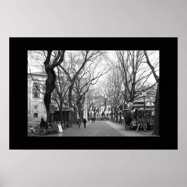 Padova, Italy Poster (Front)