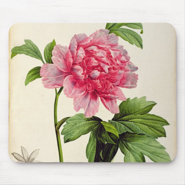 Paeonia Moutan, c.1799 Mouse Pad (Front)