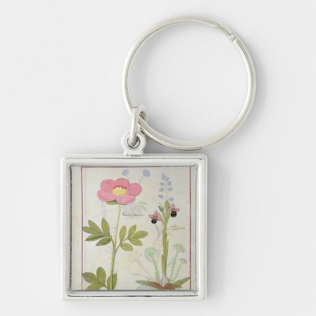 Paeonia or Peony, and Orchis myanthos Key Ring (Front)