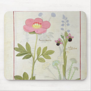 Paeonia or Peony, and Orchis myanthos Mouse Pad