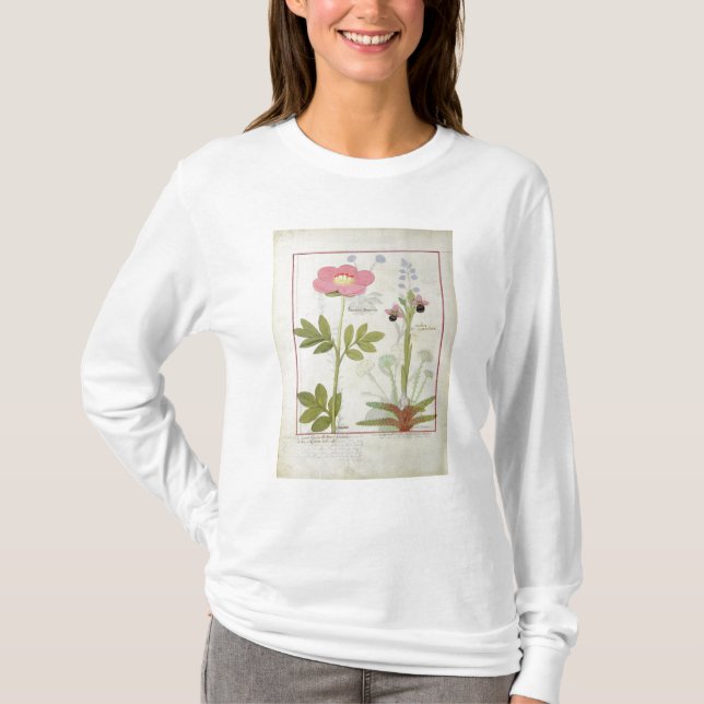 Paeonia or Peony, and Orchis myanthos T-Shirt (Front)