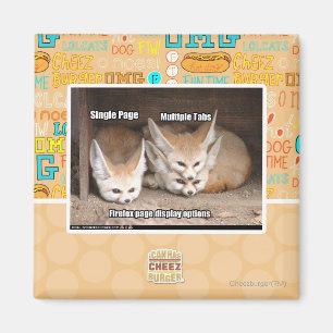 Page display options magnet