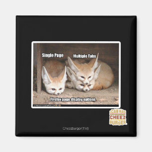 Page display options magnet