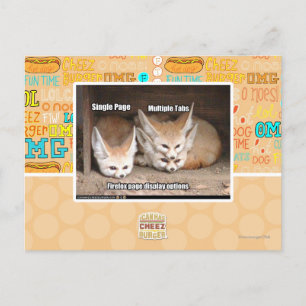 Page display options postcard