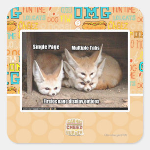 Page display options square sticker