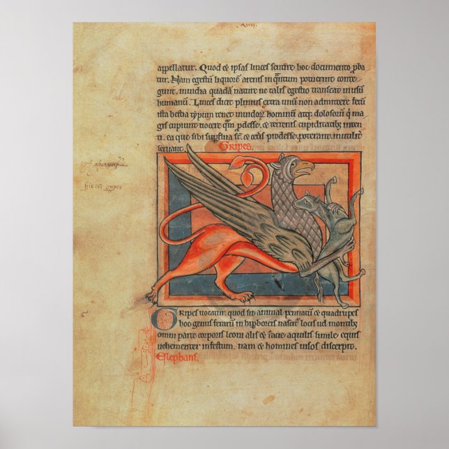 Page of text with an illustration of a griffin poster (Front)